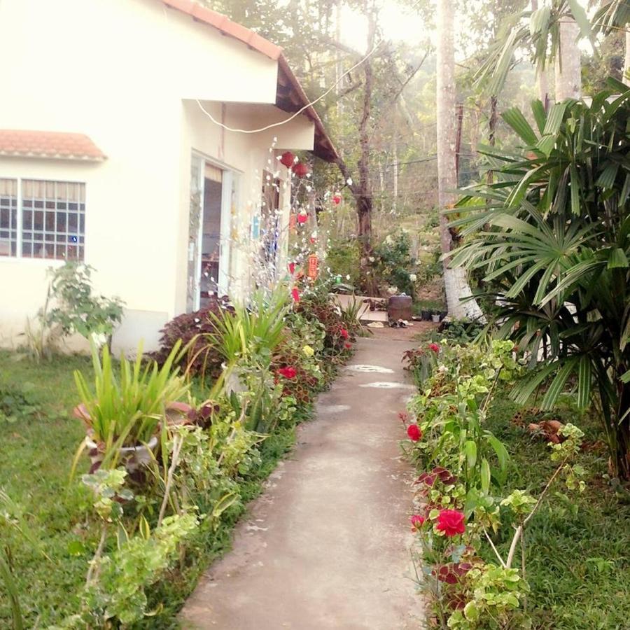 דואונג דונג Duc Anh Bungalow מראה חיצוני תמונה